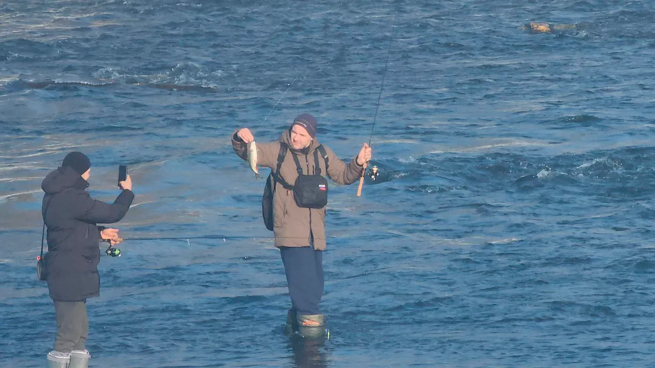 Станислав Орлов