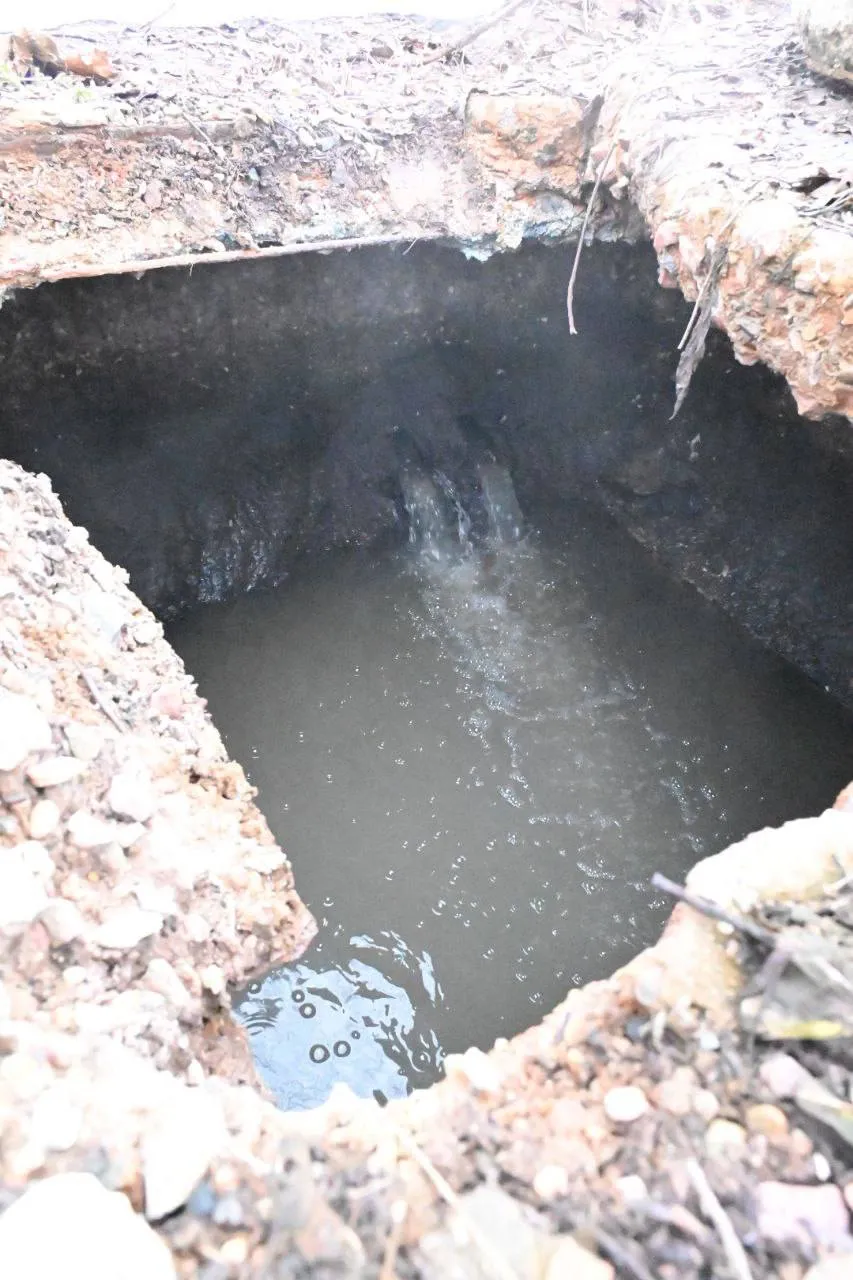 Фото: Дмитрий Акулов ТГ-канал