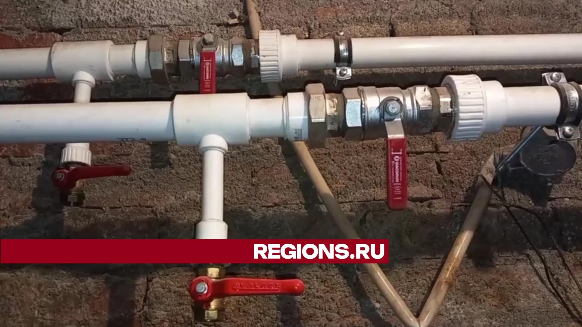 Текст, фото и видео – Ксения Казакова