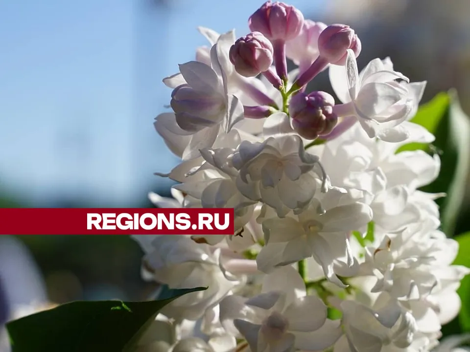 Фото: Екатерина Белякова