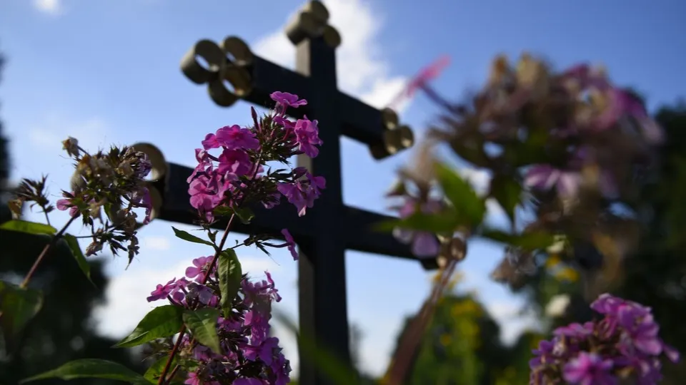 Фото: медиасток.рф