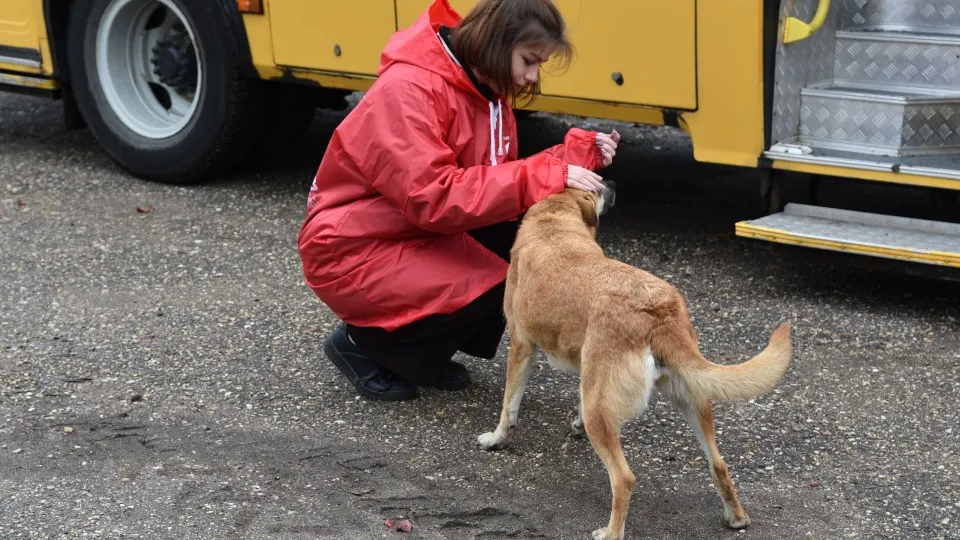 Фото: МедиаБанк Подмосковья/Владимир Останин