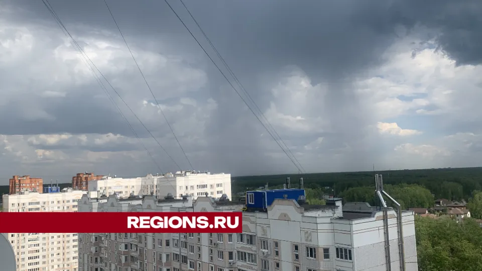 Фото: Анастасия Завертайло