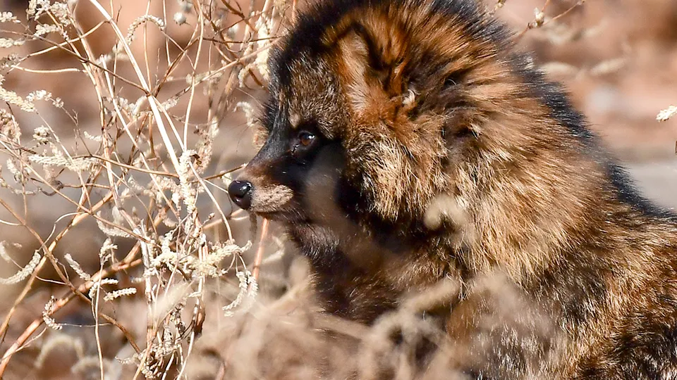 Фото: ТАСС/Юрий Смитюк