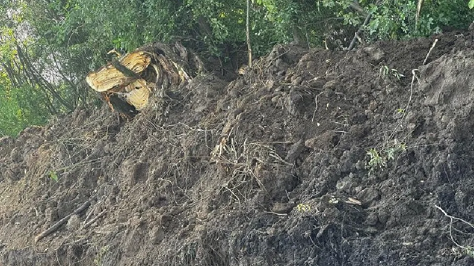 Фото: Министерство экологии и природопользования МО