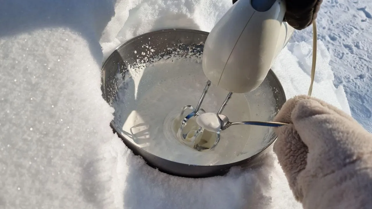 REGIONS/Юлия Алабина