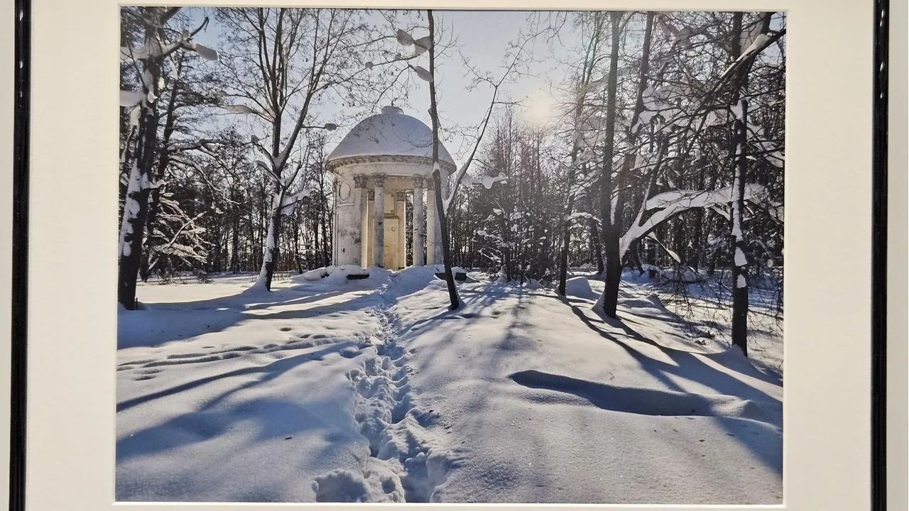 МедиаБанк Подмосковья/Ольга Вельшикаева