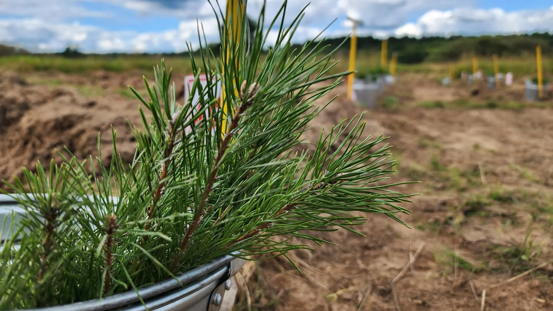 Фото: Светлана Плотникова