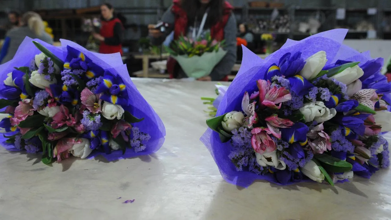 медиасток.рф