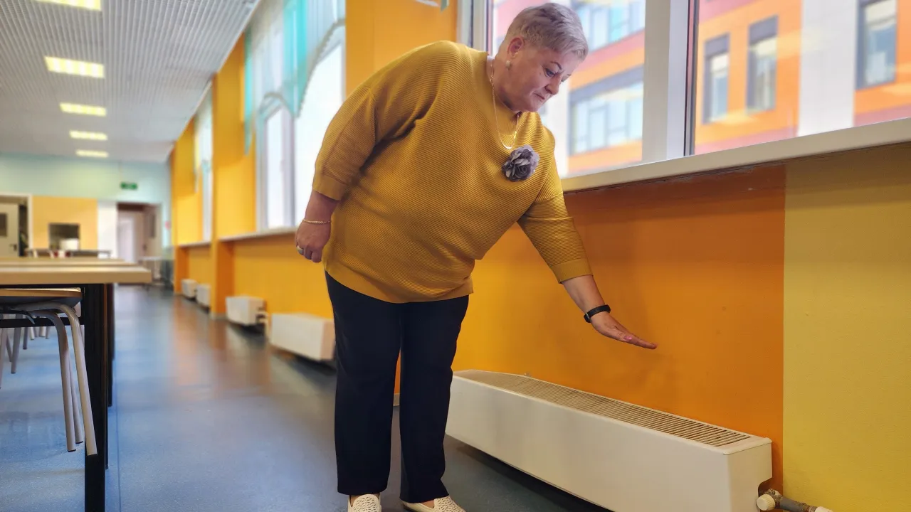 МедиаБанк Подмосковья/Екатерина Данилина