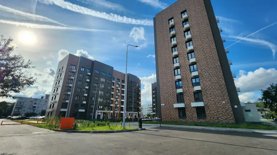 Фото: Ксения Пашуто