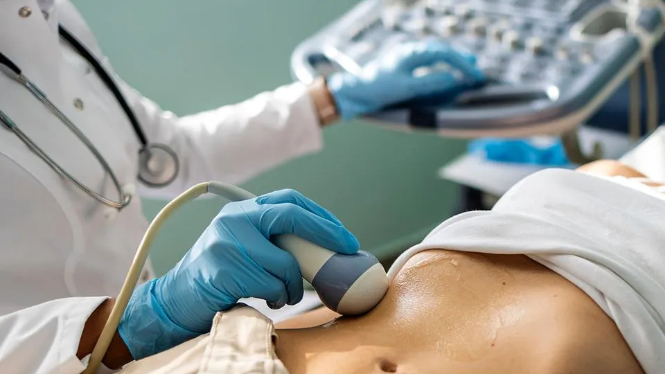 Фото: istockphoto.com/ljubaphoto