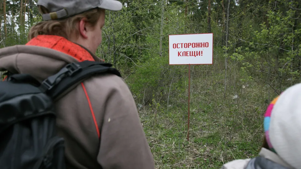 Фото: РИА Новости/Павел Лисицын