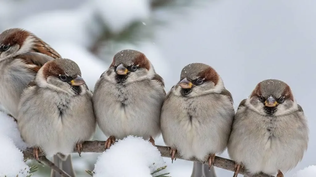 REGIONS/Сгенерировано нейросетью
