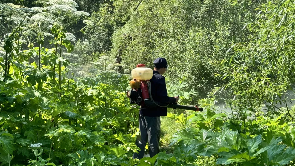 Фото: МедиаБанк Подмосковья/Татьяна Рунова