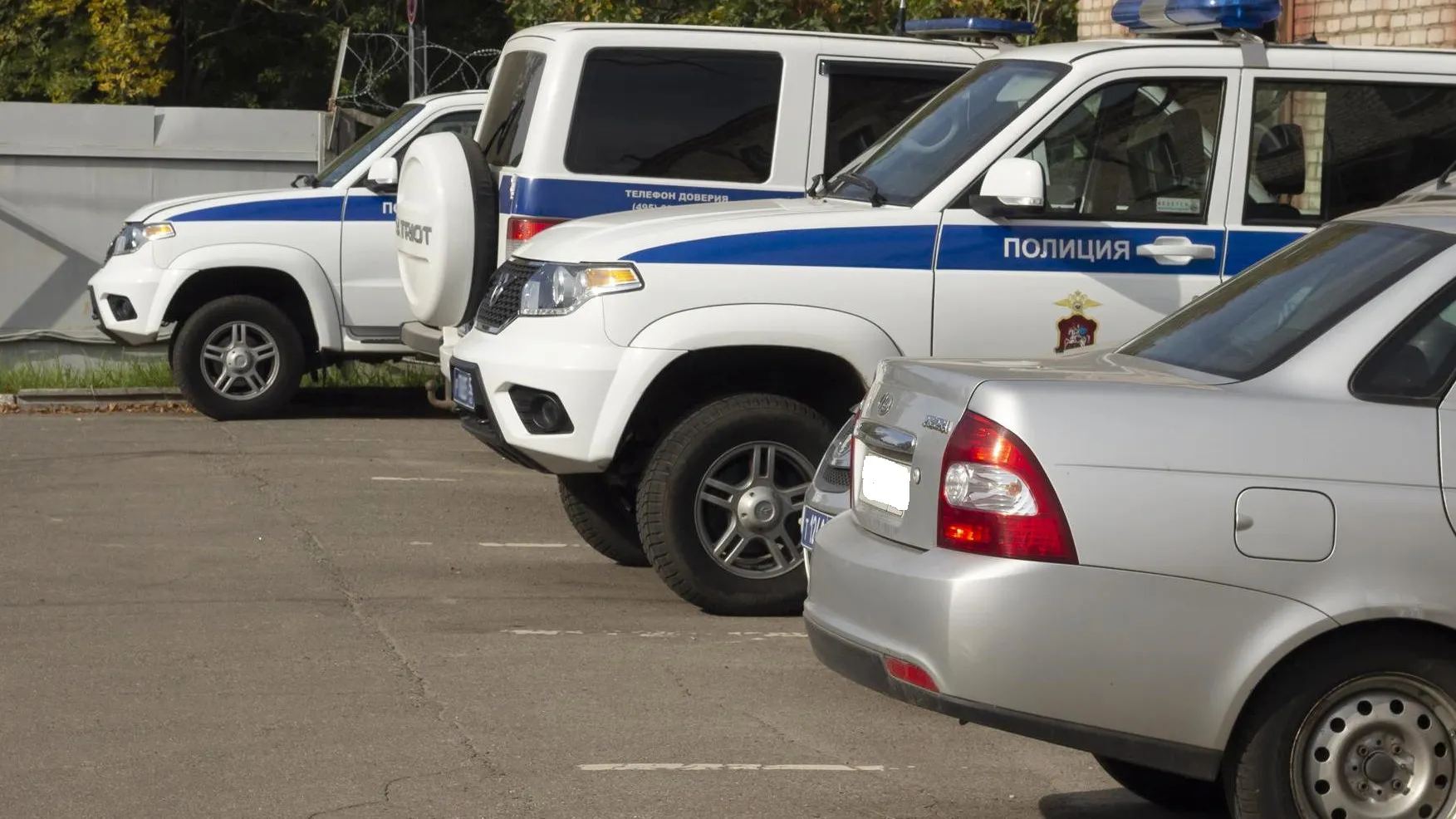 Фото: Нина Басистая