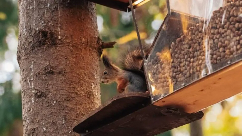 Фото: Анна Сполохова