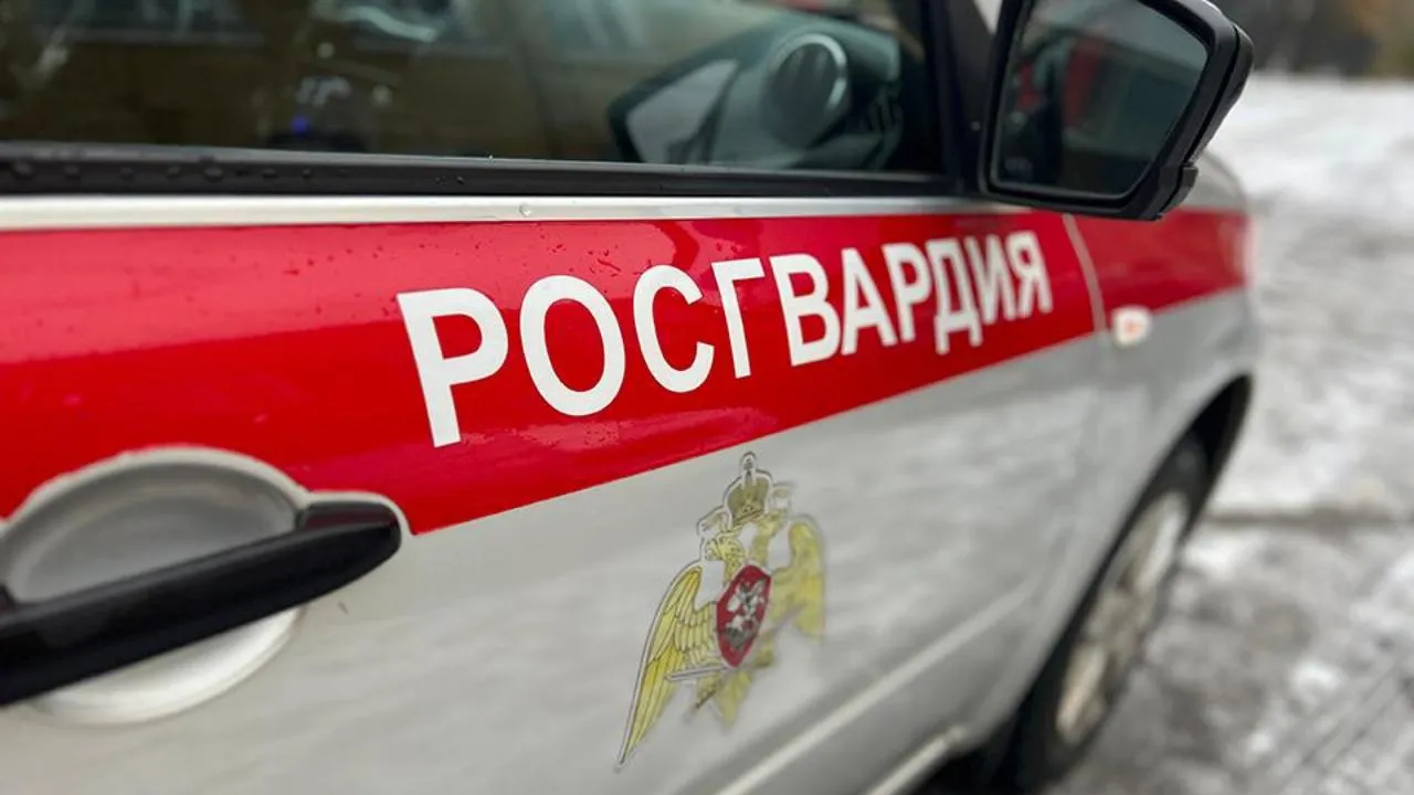 МедиаБанк Подмосковья/Евгения Герасимова