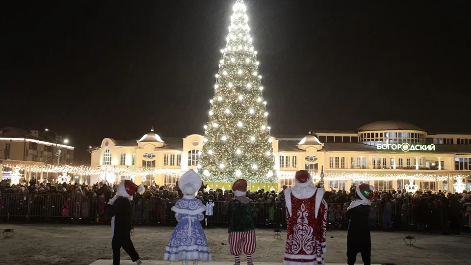 Фото: администрация Богородский г.о.