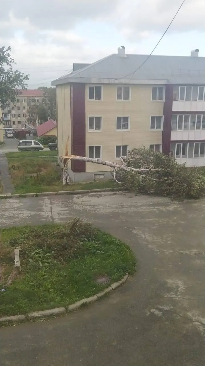 соцсеть «ВКонтакте»