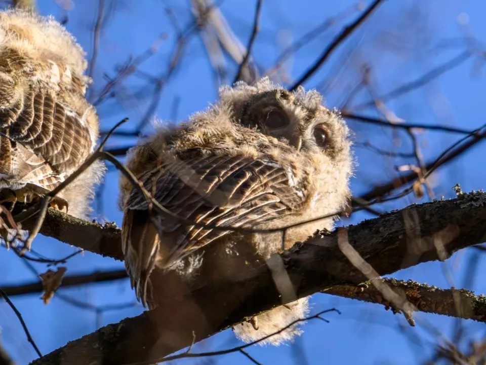 Фото: Виктор Архипенко