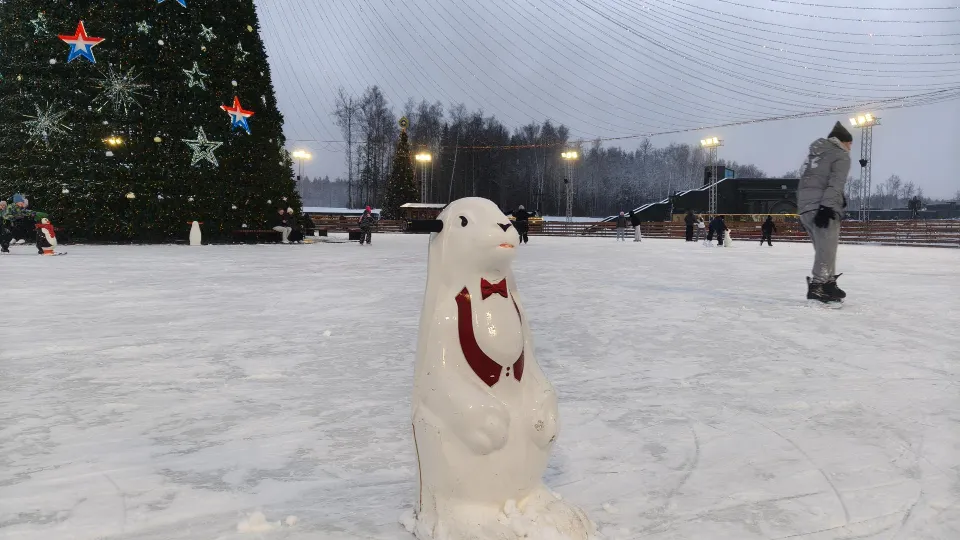 Фото: REGIONS/Сергей Орлов