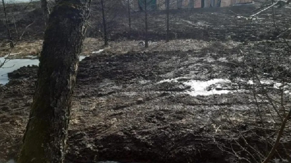 Фото: Министерство экологии и природопользования Московской области