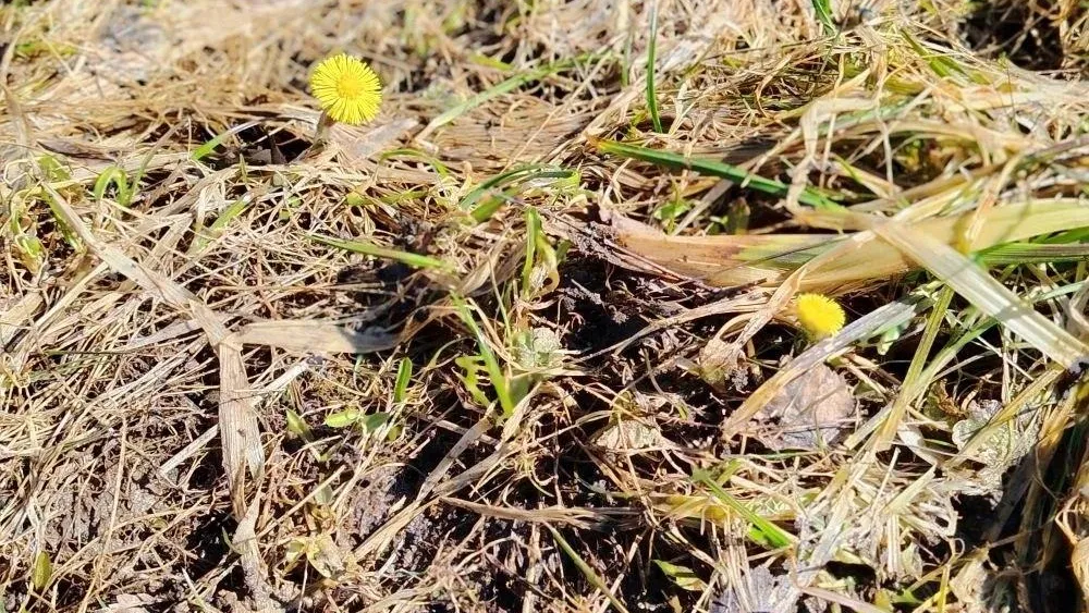 парк «Победа»