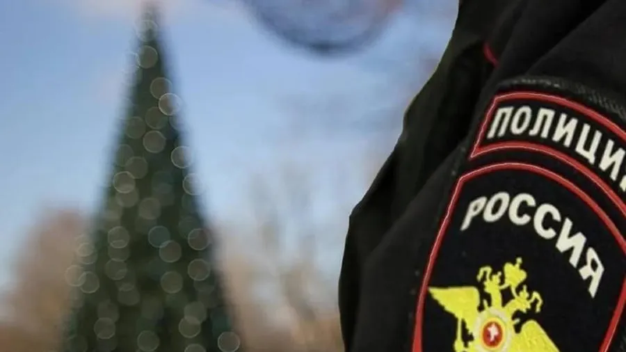 Источник: пресс-служба администрации Одинцовского округа