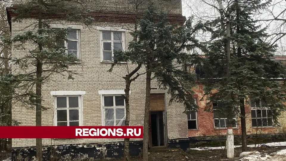 Фото: Елена Аботурова