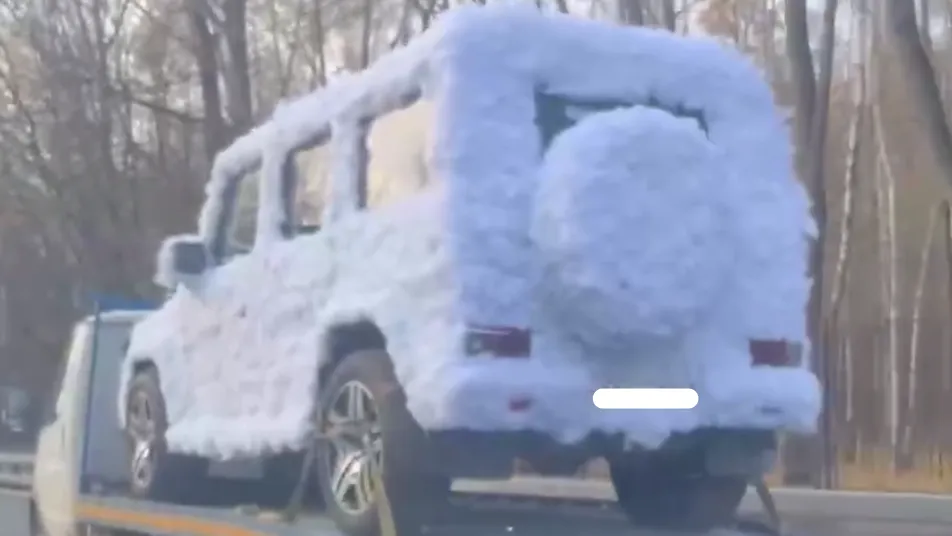 Фото: Подслушано Истра / Telegram