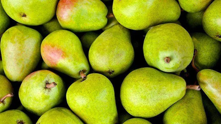 Украинские диетологи составили список полезных летних продуктов