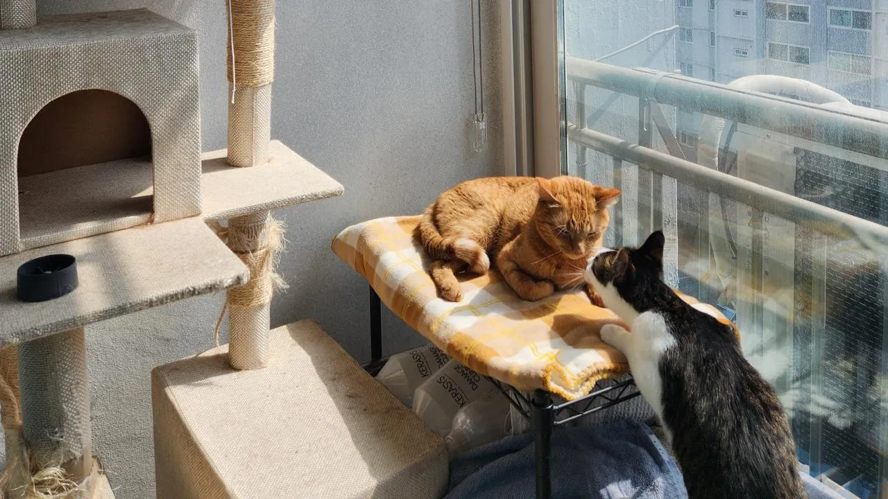 istockphoto.com/Cecilia Fern