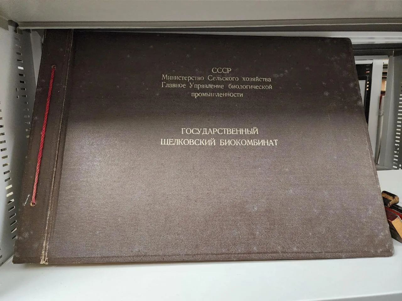 Валерия Тингаева