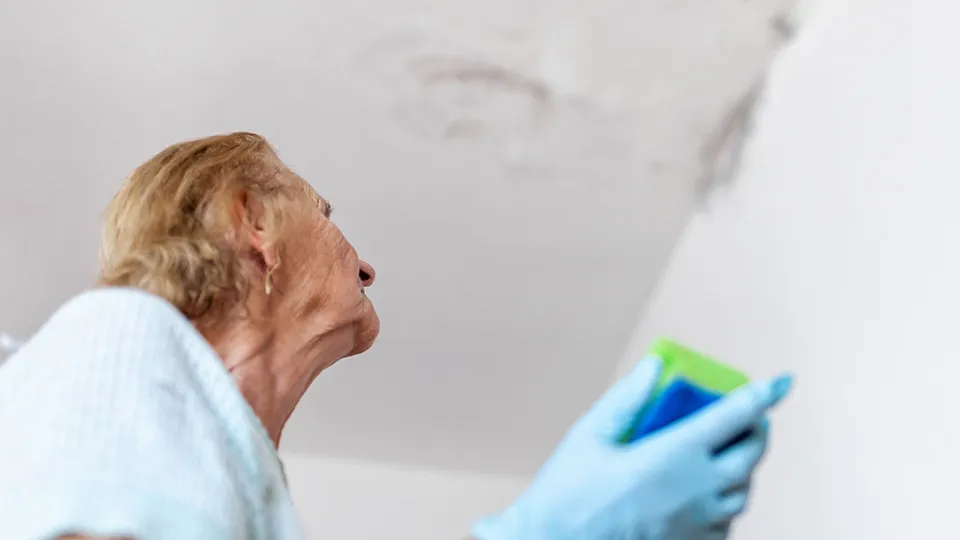 Фото: istockphoto.com