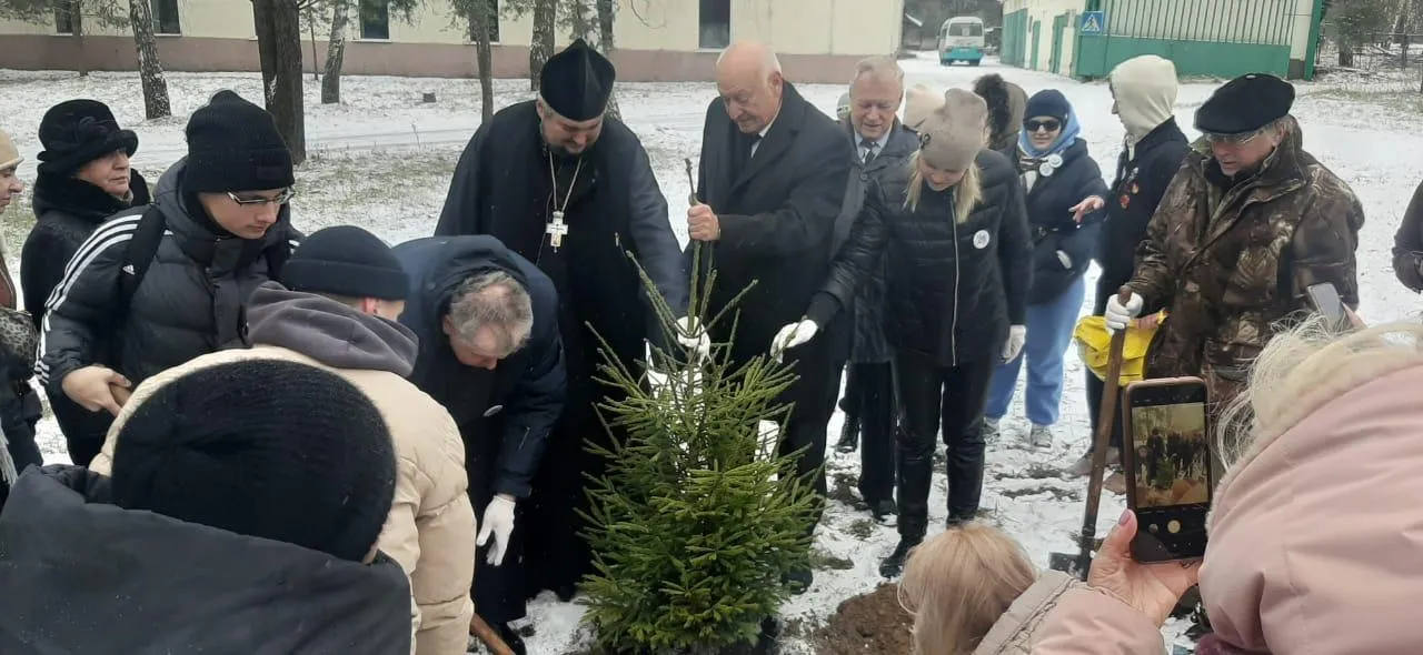 Фото: Комитет лесного хозяйства Московской области
