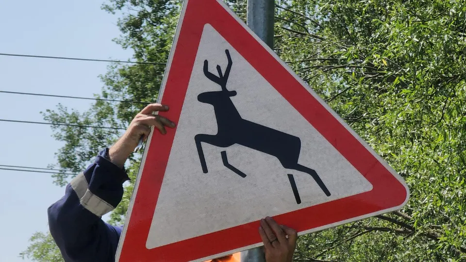 Фото: Екатерина Данилина