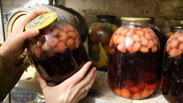 Николай Хижняк / РИА Новости
