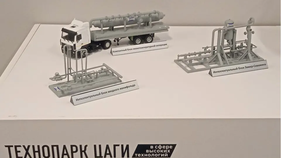 Фото: МедиаБанк Подмосковья/Дмитрий Павлов