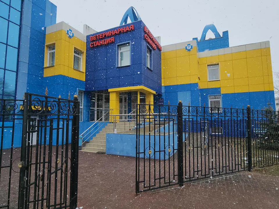 Фото: Андрей Семибратов