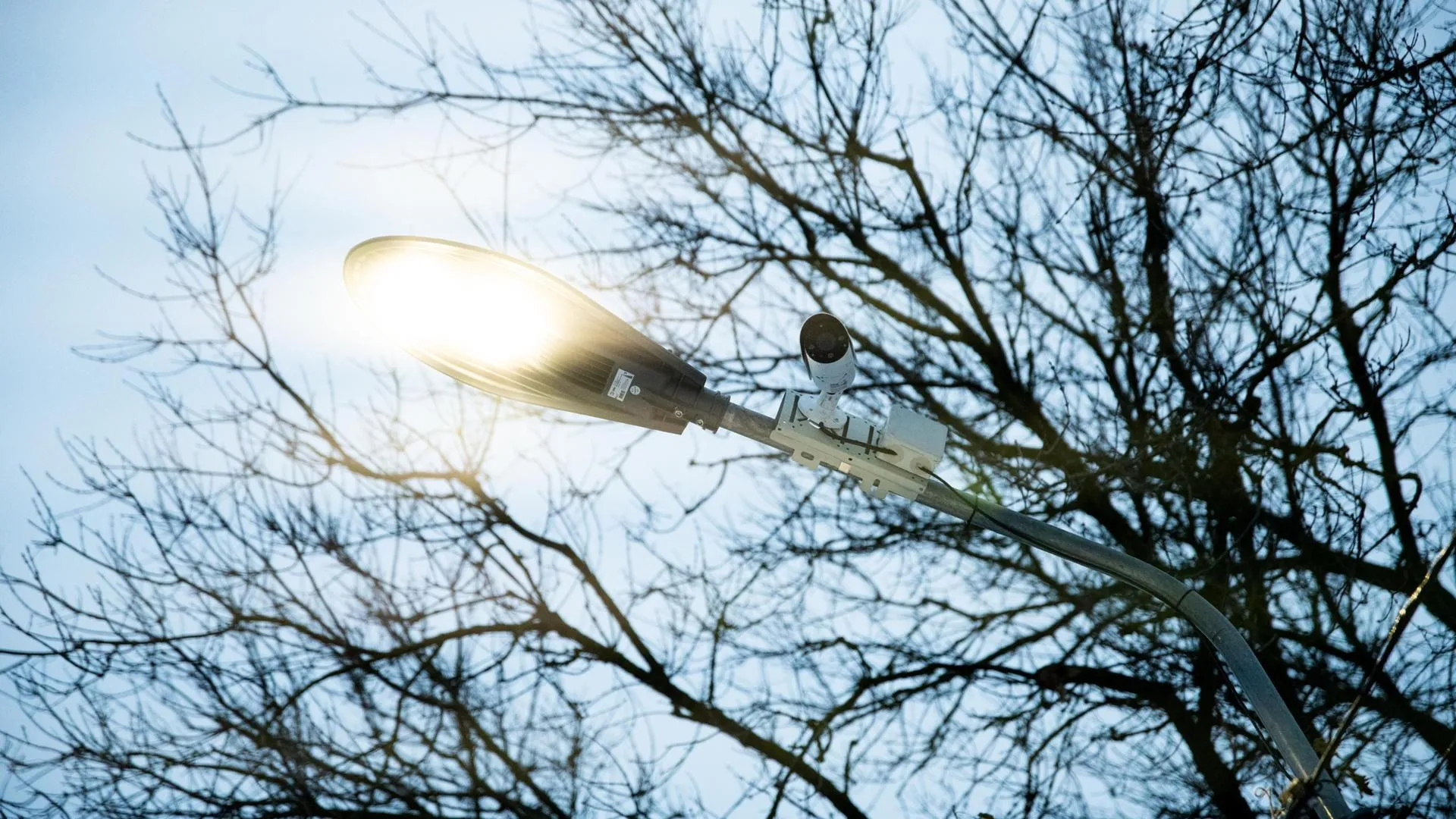 Фото https://vk.com/dmitrovreg