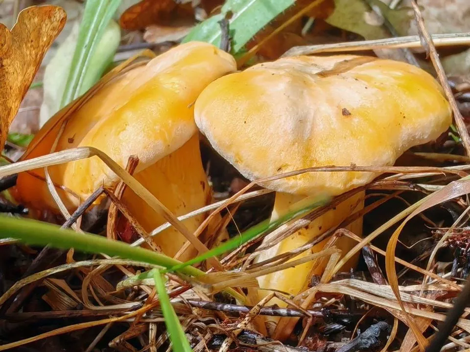 Фото: Константин Кошелев