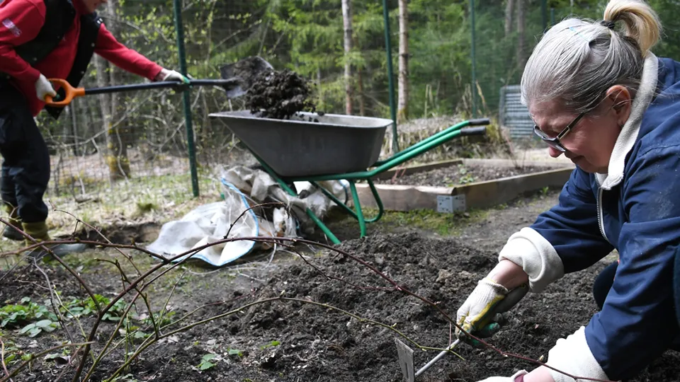 Фото: РИА Новости/Кирилл Каллиников