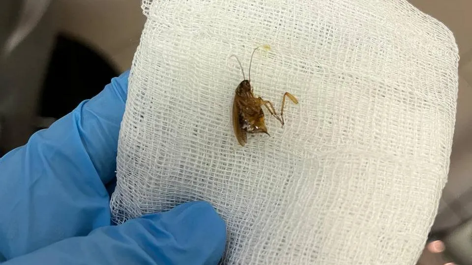 Пресс-служба Минздрава МО