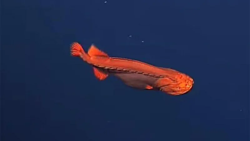 Monterey Bay Aquarium Research Institute 
