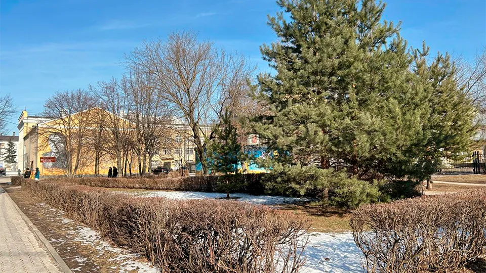 Фото: пресс-служба администрации г.о. Королев