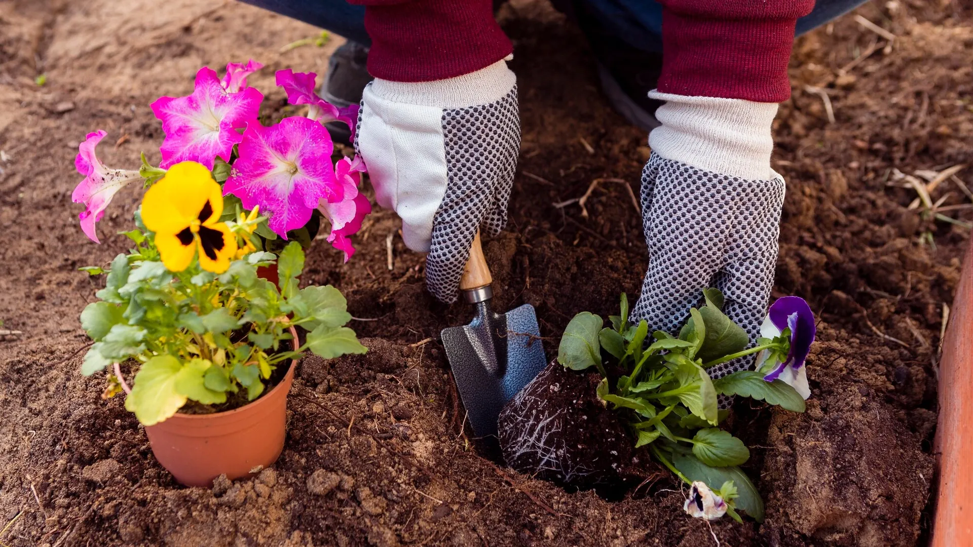 Фото: freepik.com