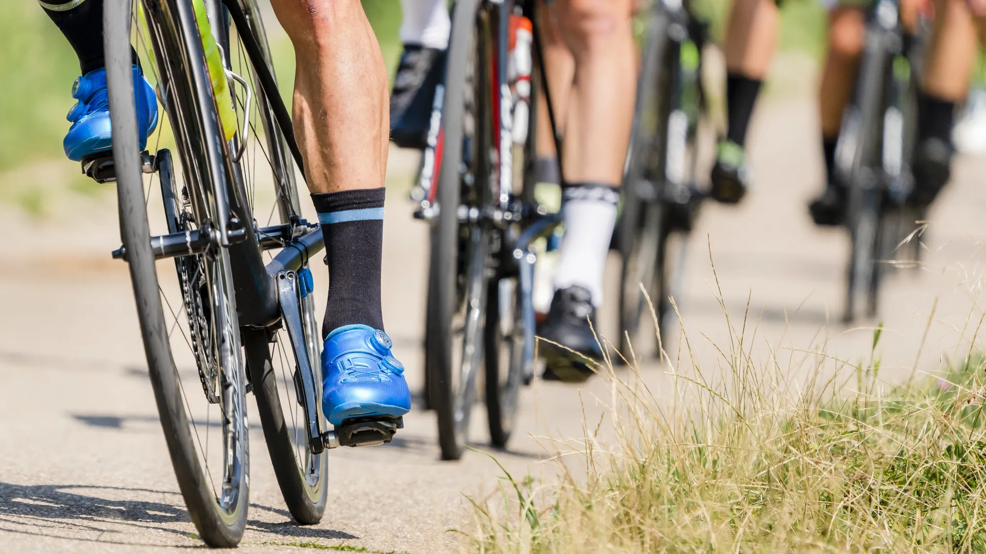 Фото: freepik.com