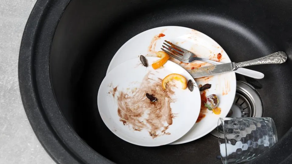 Фото: istockphoto.com