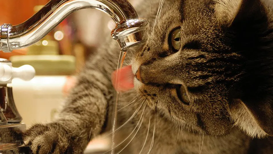 Фото: istockphoto.com